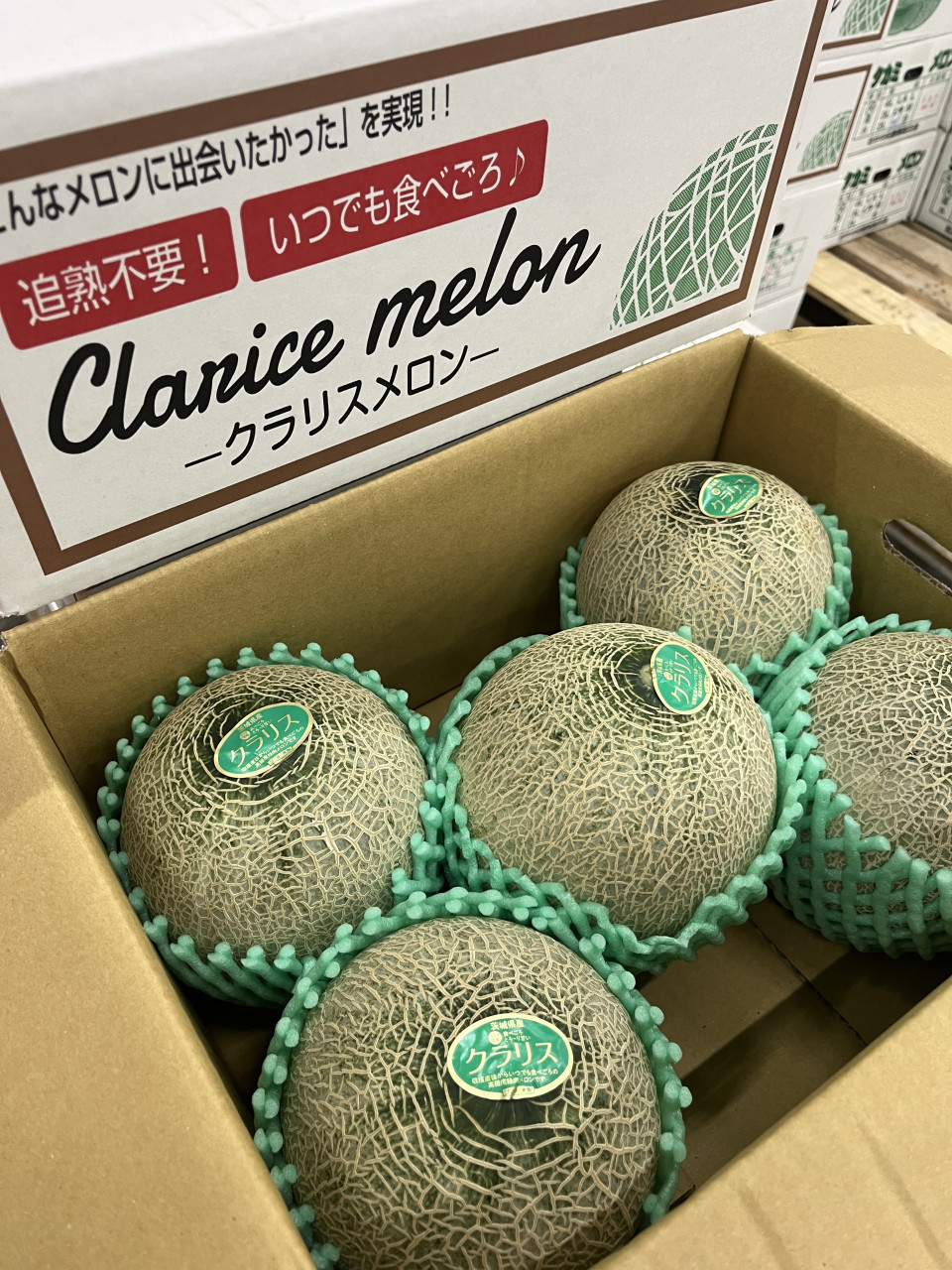 ５月２８日　青果市場情報！！