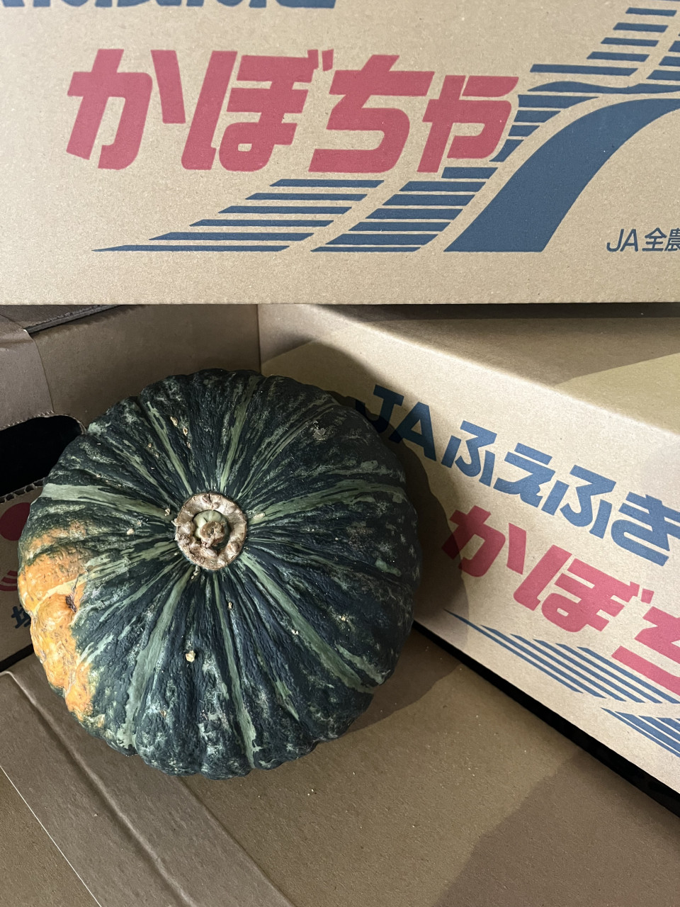 6月１３日　青果市場情報！！