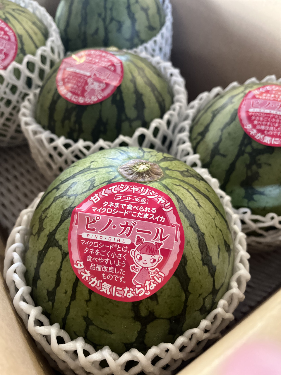 ６月１５日　青果市場情報！！