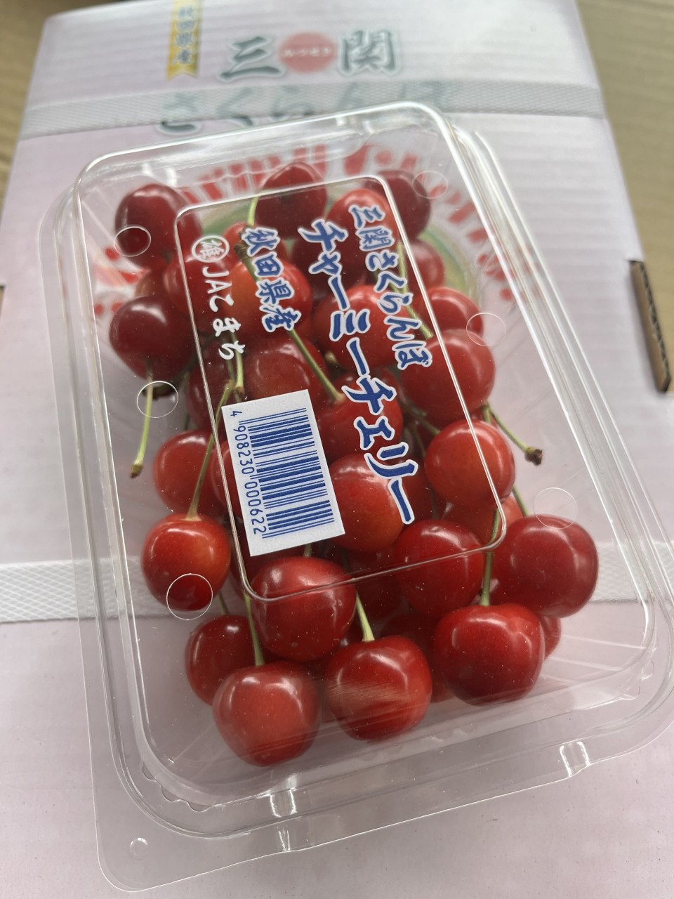 ６月１７日　青果市場情報！！