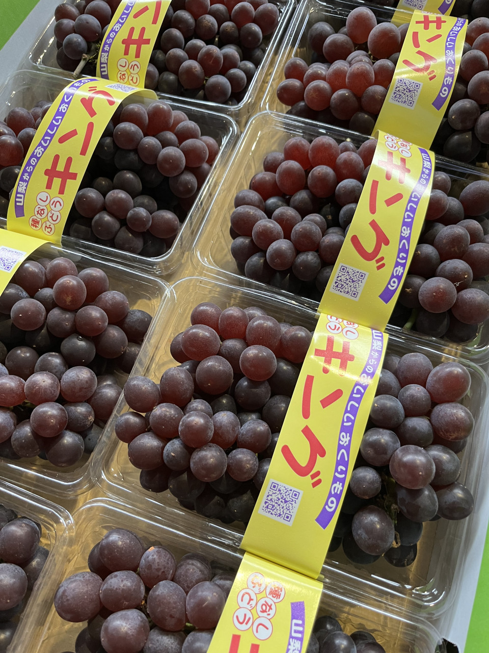 ６月１８日　青果市場情報！！