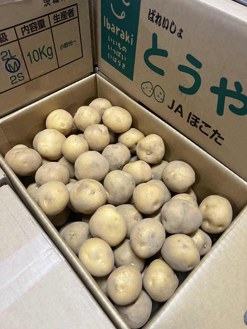 ６月２４日　青果市場情報！！