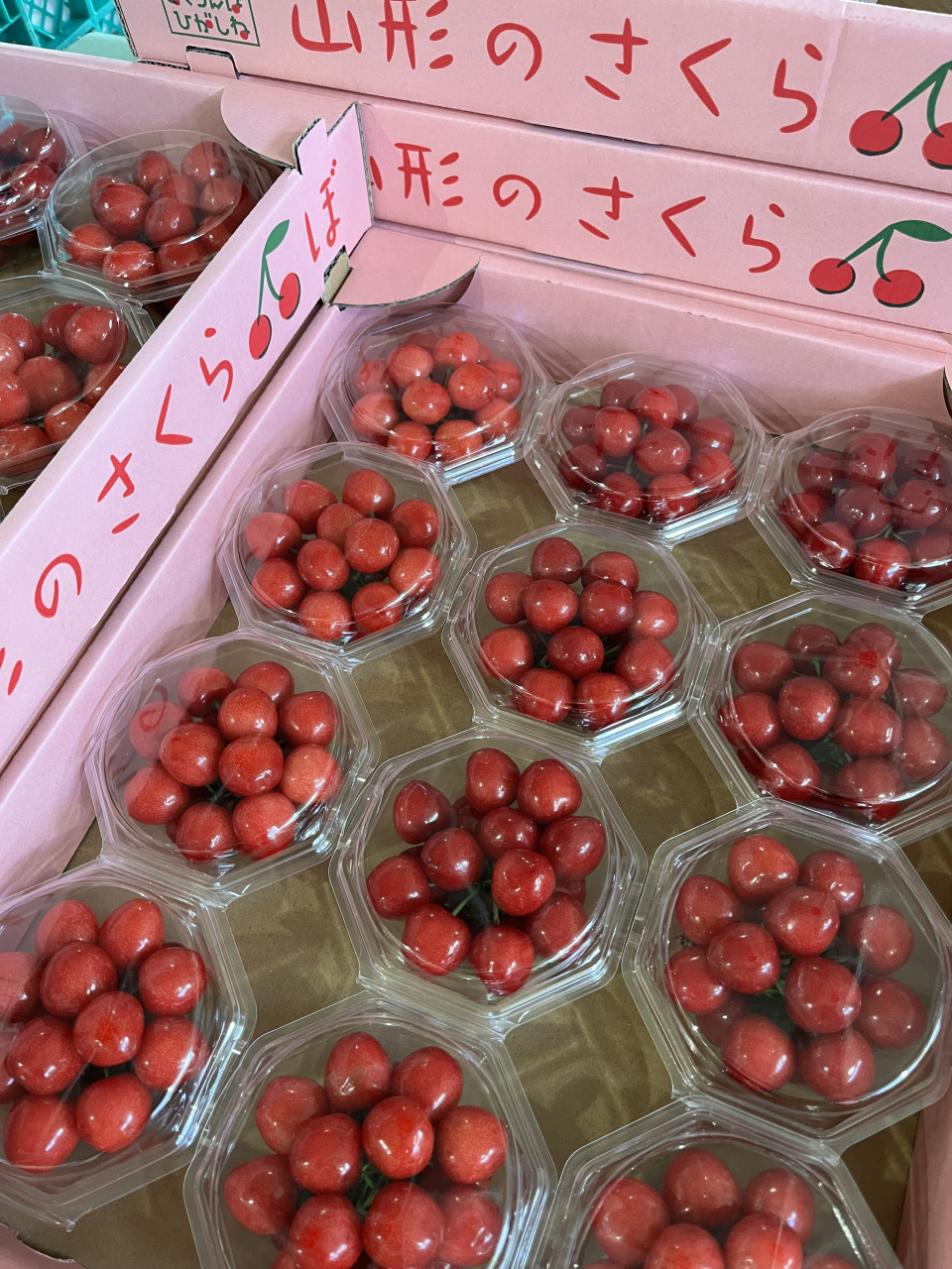 ３月２１日　青果市場情報！！