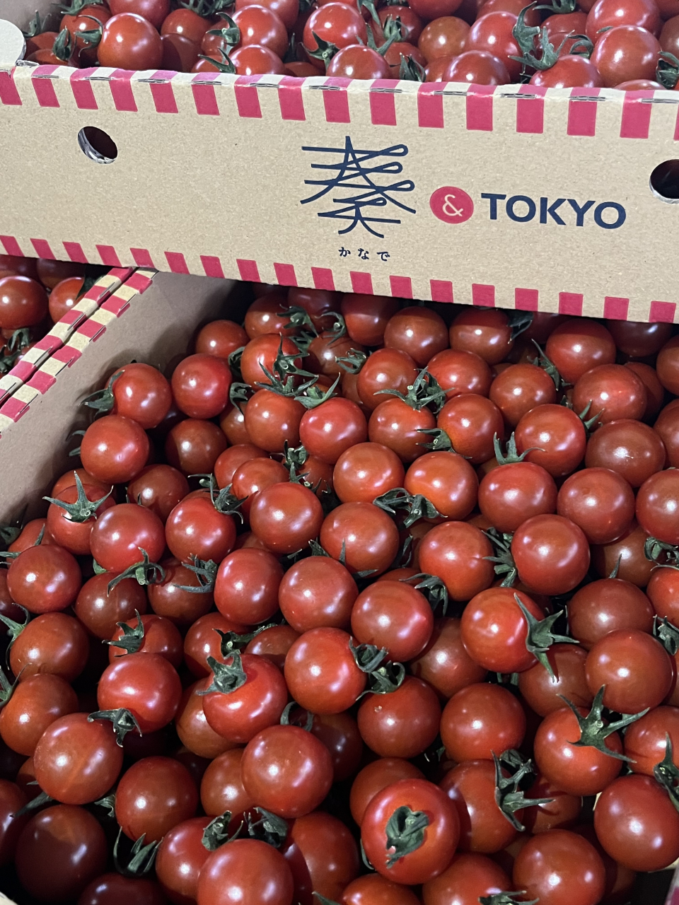 ５月８日　青果市場情報！！