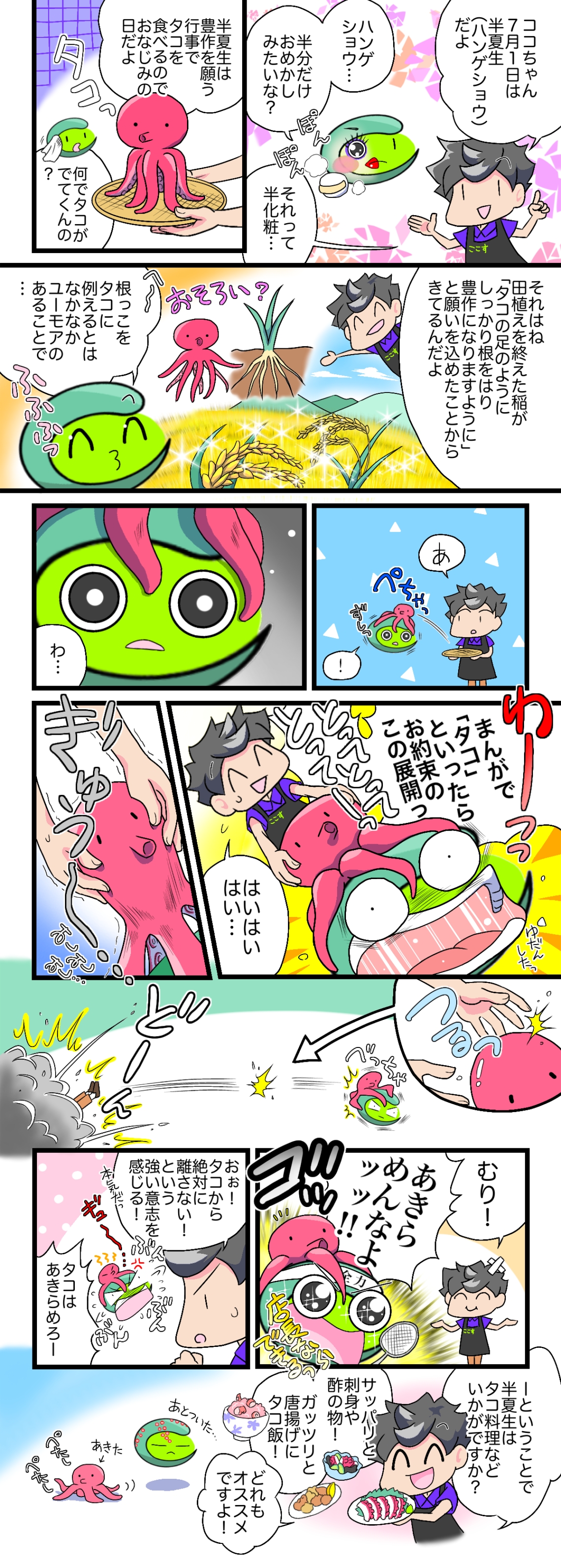 ７月１日は半夏生！